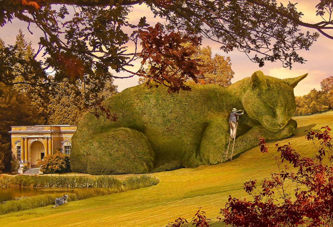 The Topiary Cat