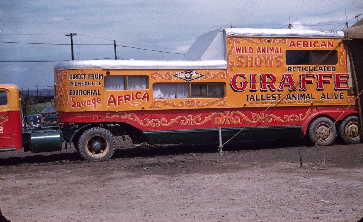 Circus Performers 1950s Kodachrome