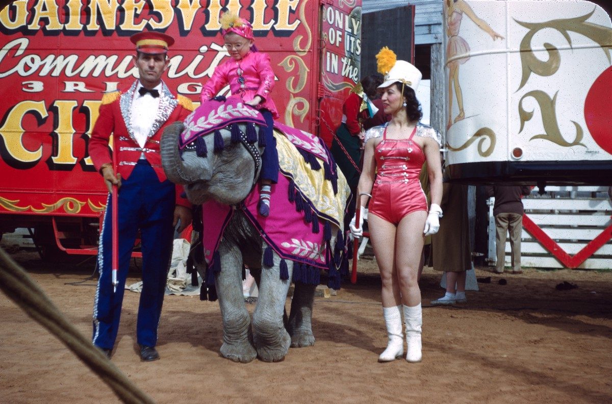 Circus Performers 1950s Kodachrome-