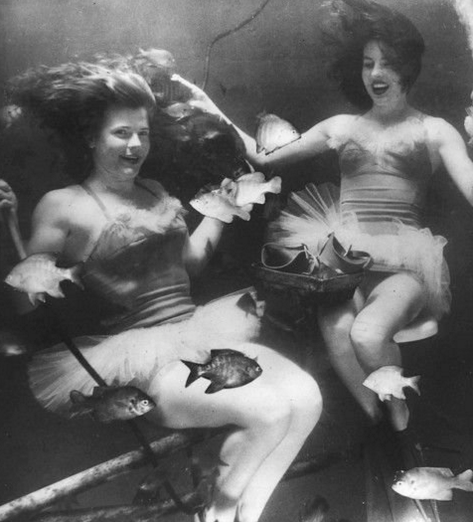 Texas Mermaids! Aquarena Springs, 1950.