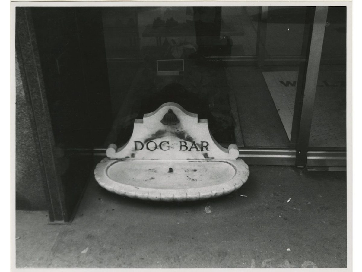 Small stone sculpture inscribed with the words DOG BAR on the ground at Wallachs clothing store on Fifth Avenue and 44th Street.