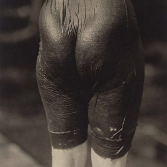 Alfred Stieglitz Nudes And Views