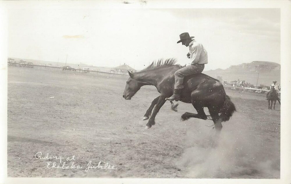 Montana rodeo 