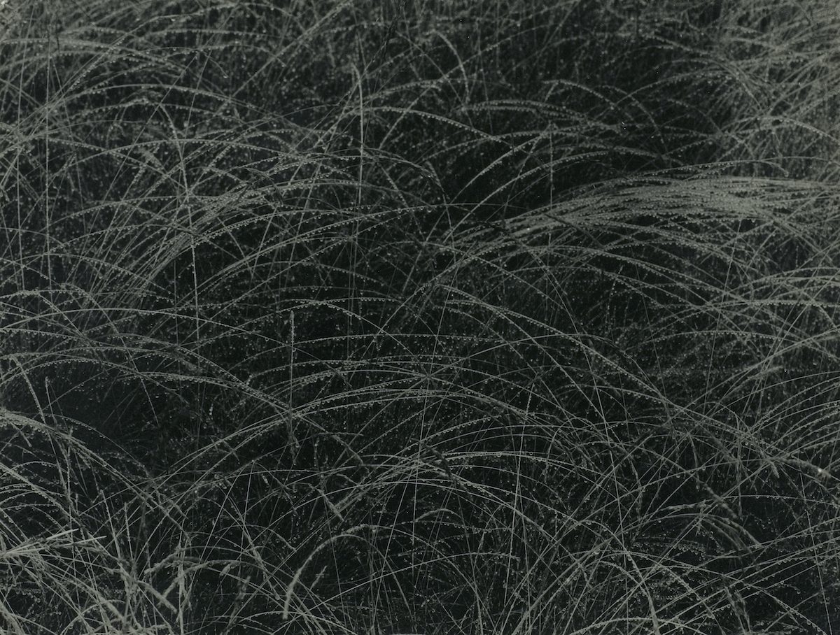 Equivalent (1927) by Alfred Stieglitz. Original from The Art Institute of Chicago.