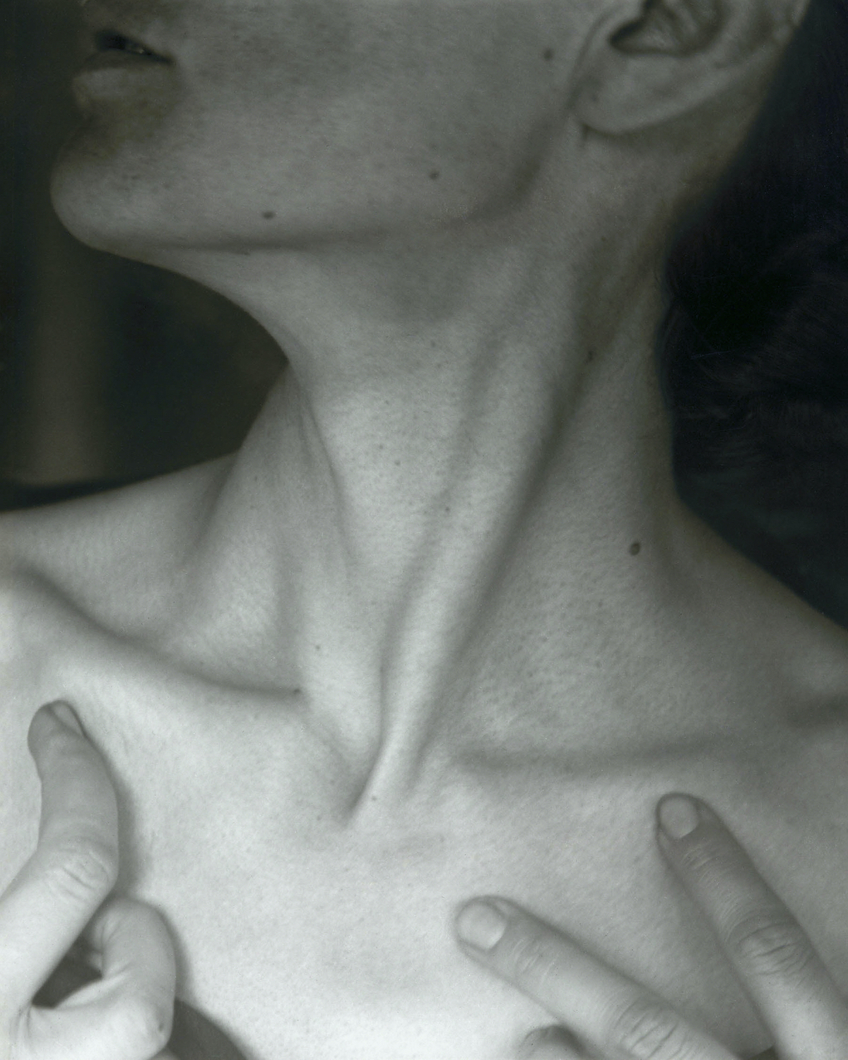Georgia O’Keeffe—Neck (1921) by Alfred Stieglitz.
