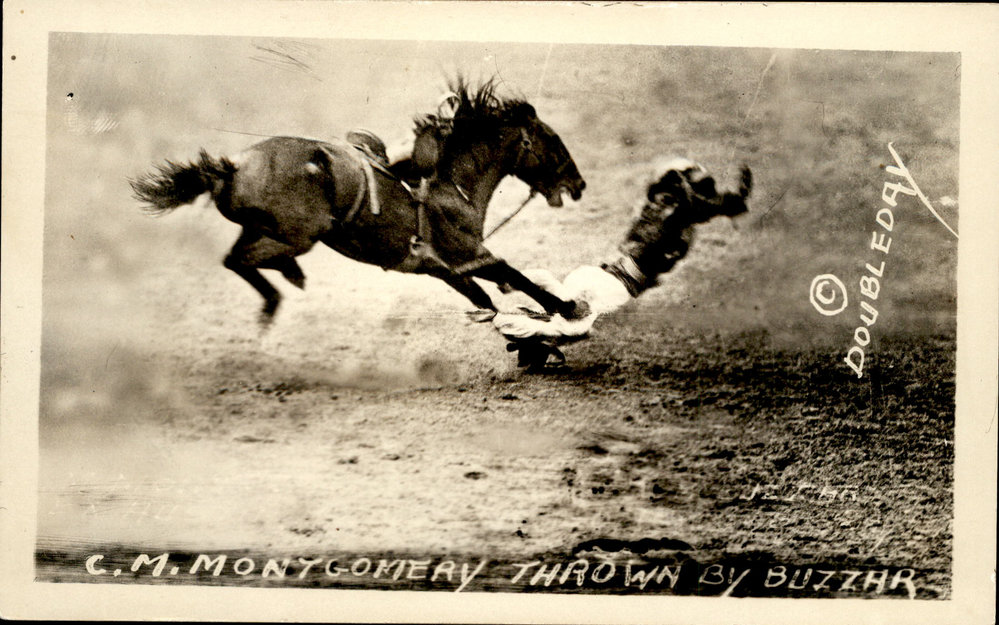 Montana rodeo 