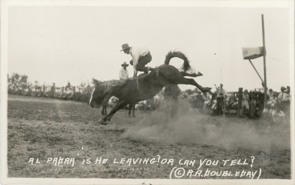 Montana rodeo 