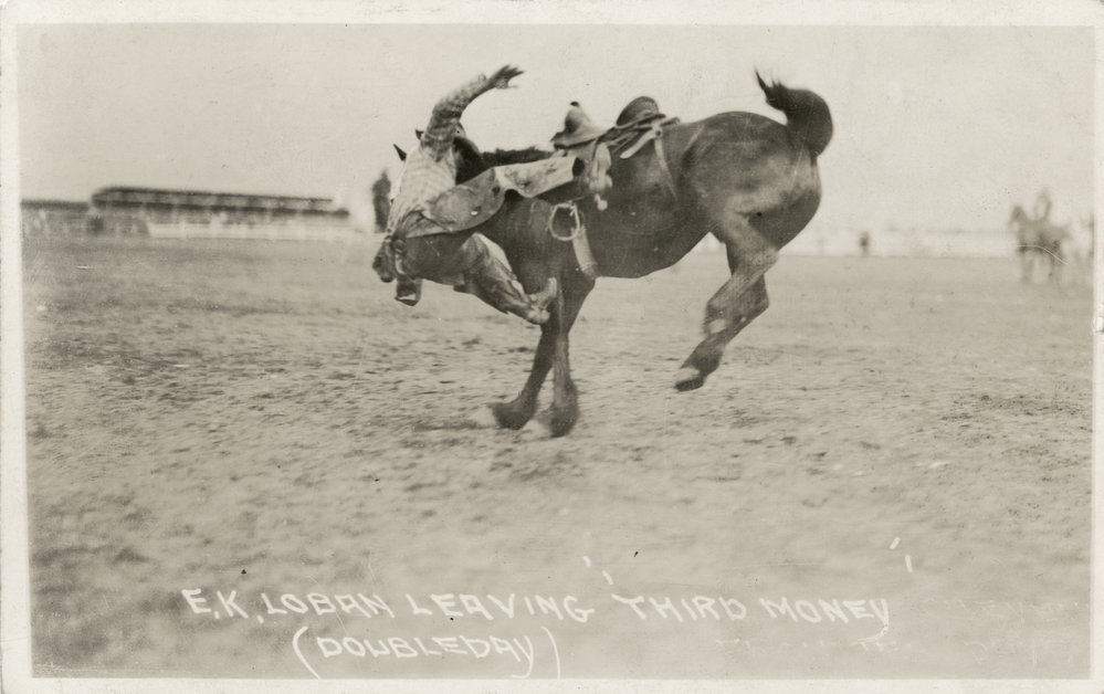 Montana rodeo 