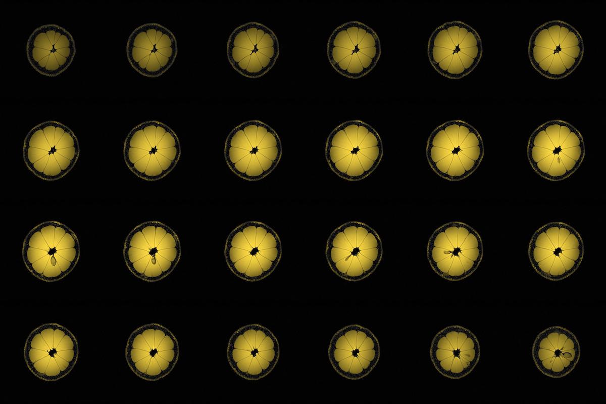 Lemon, axial view, MRI copy