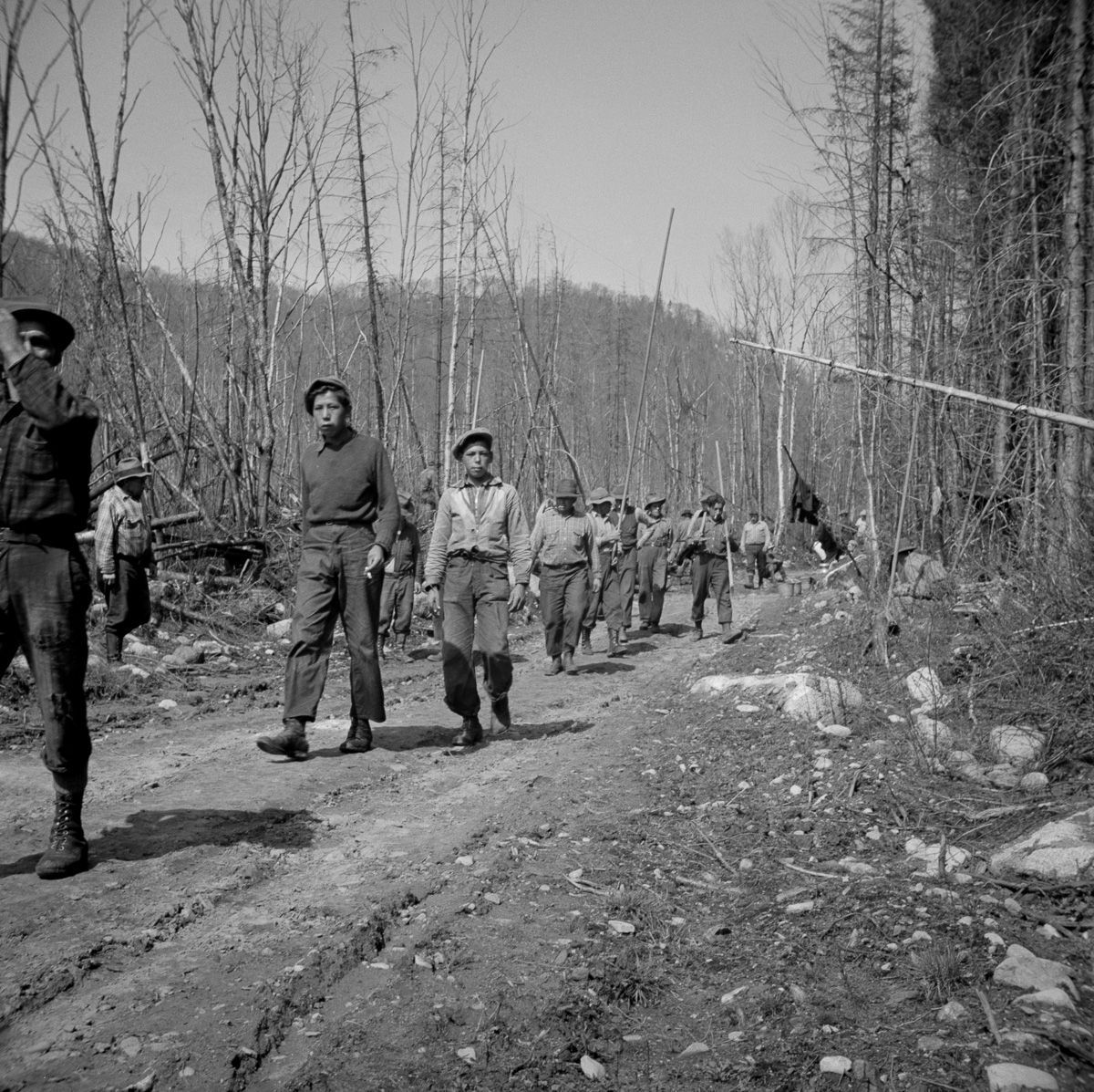 Maine Woodsmen