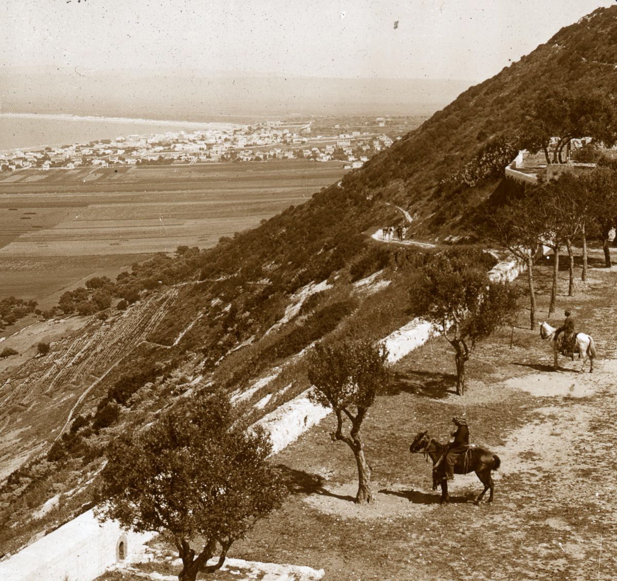 Mount Carmel and the Bay of Haifa.