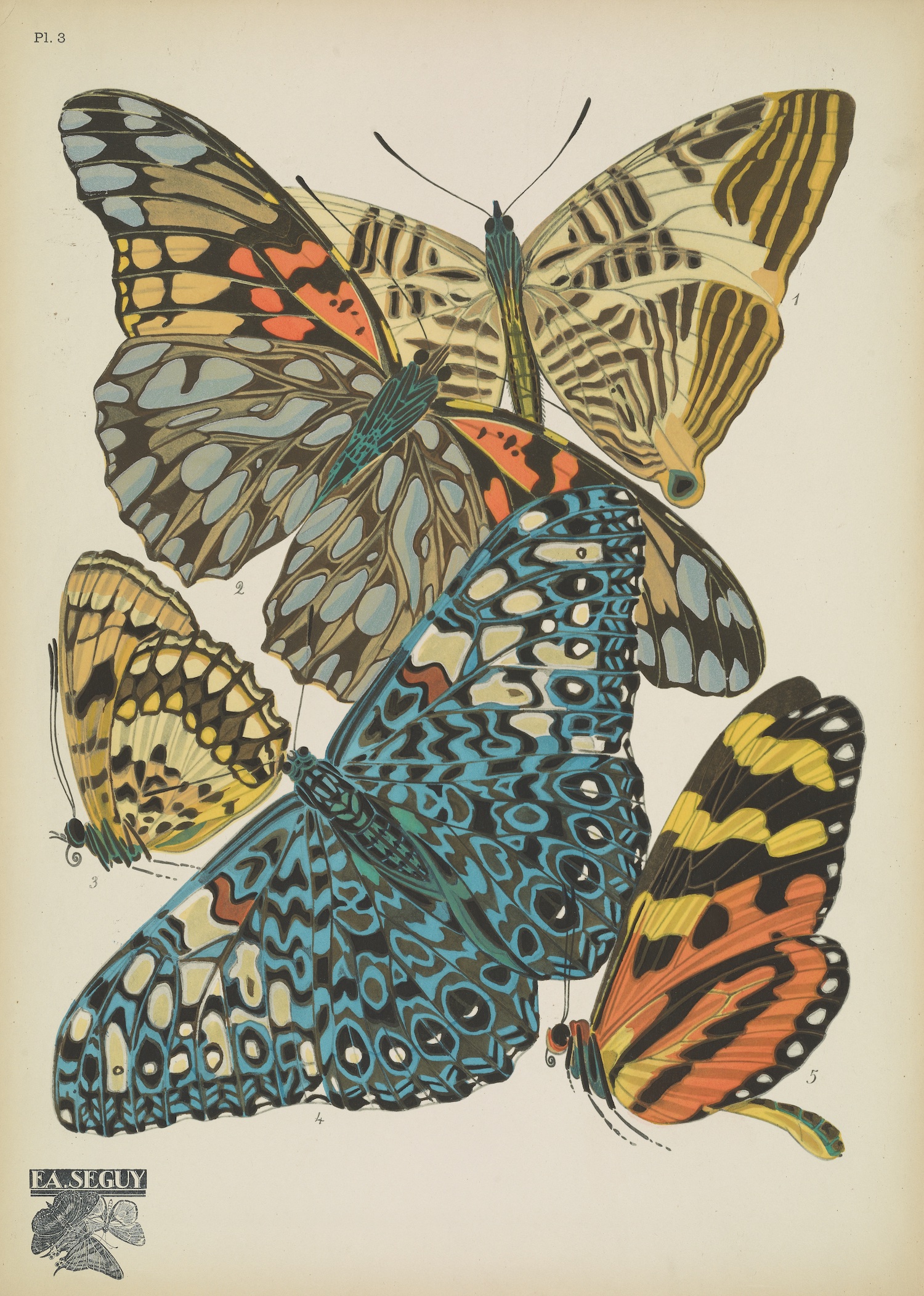 Butterflies (plate 3) by EA Séguy, 1925