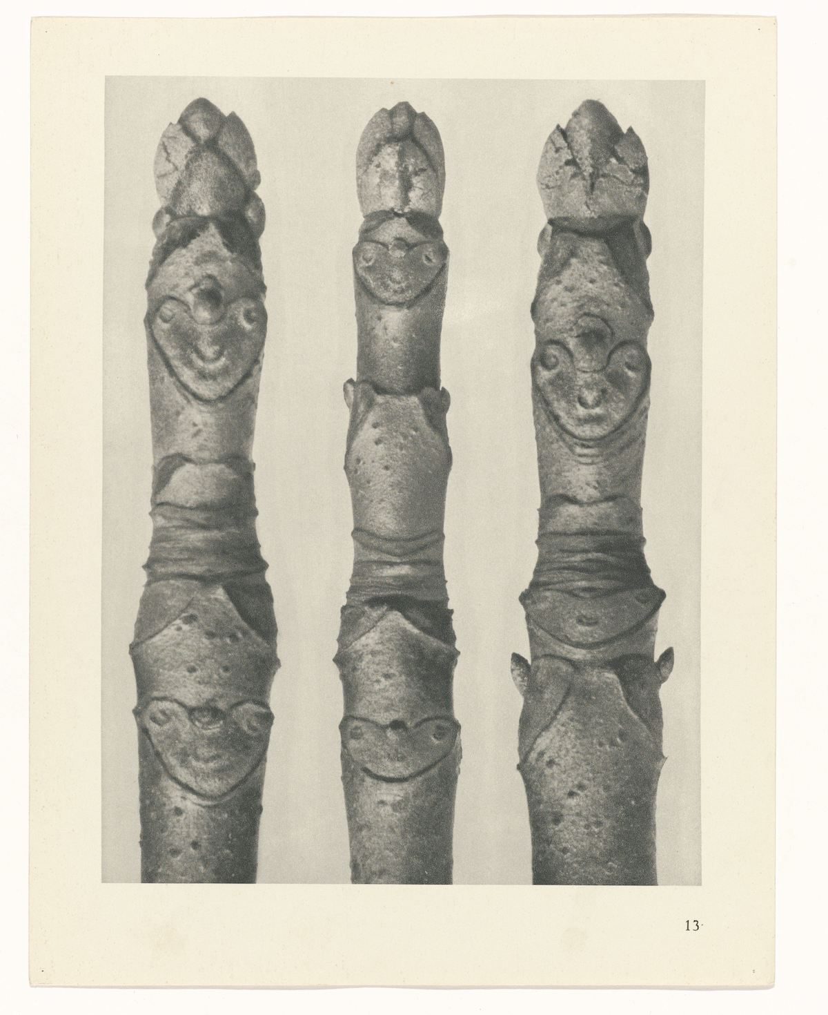 Karl Blossfeldt , Art Forms in Nature