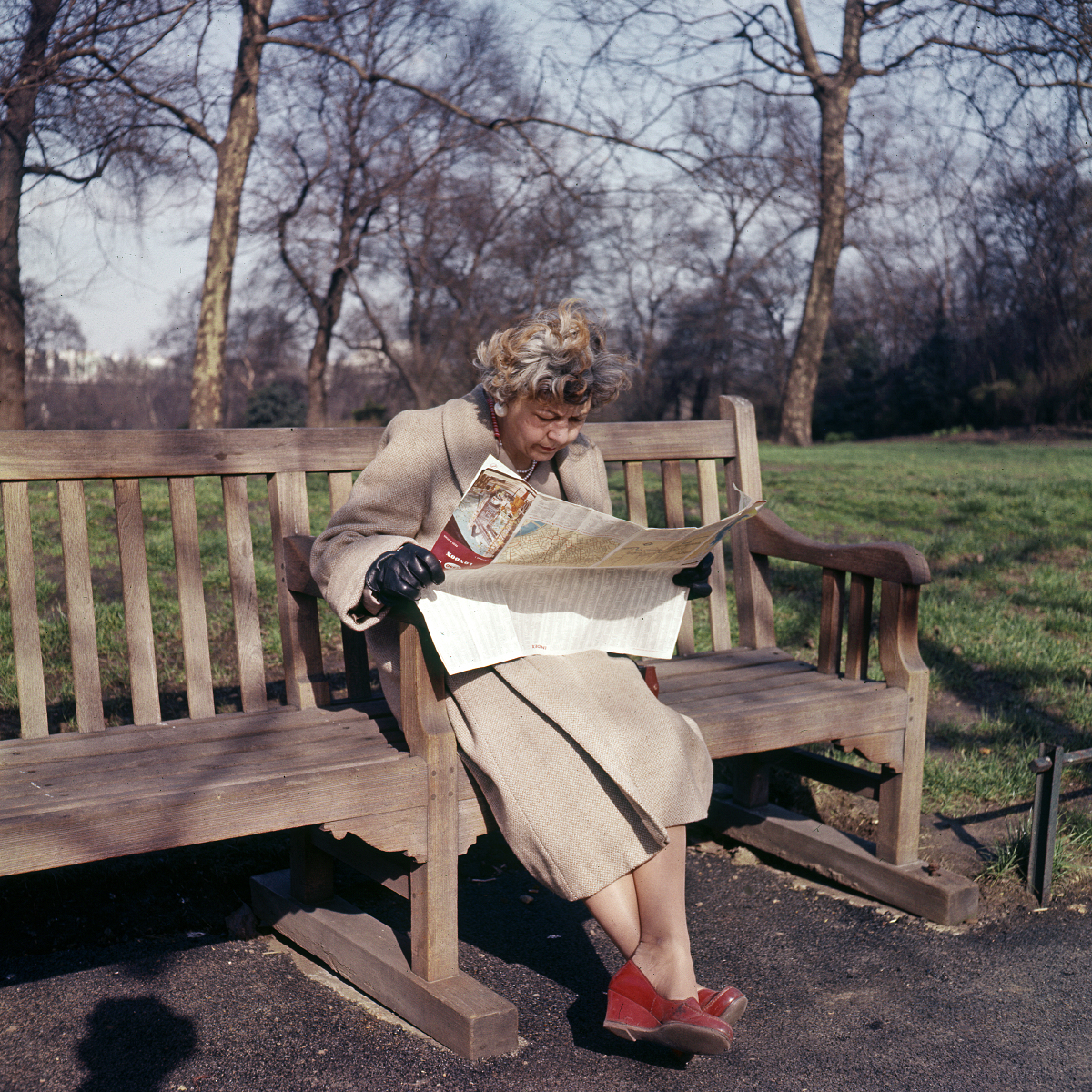 london_hyde_park 1960