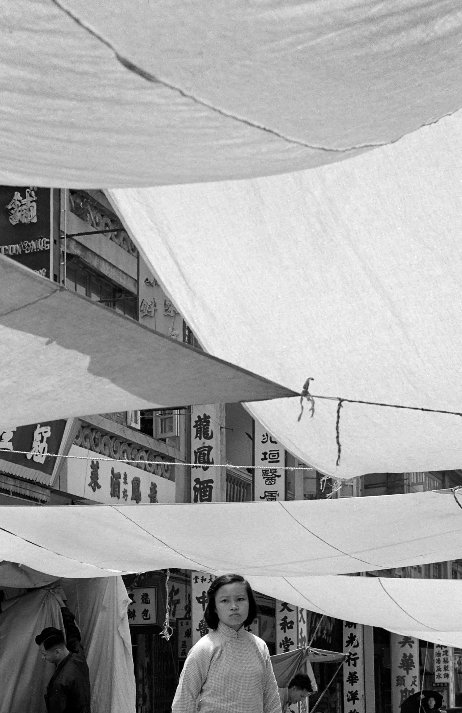 White Tents (白帳篷), Hong Kong, 1960