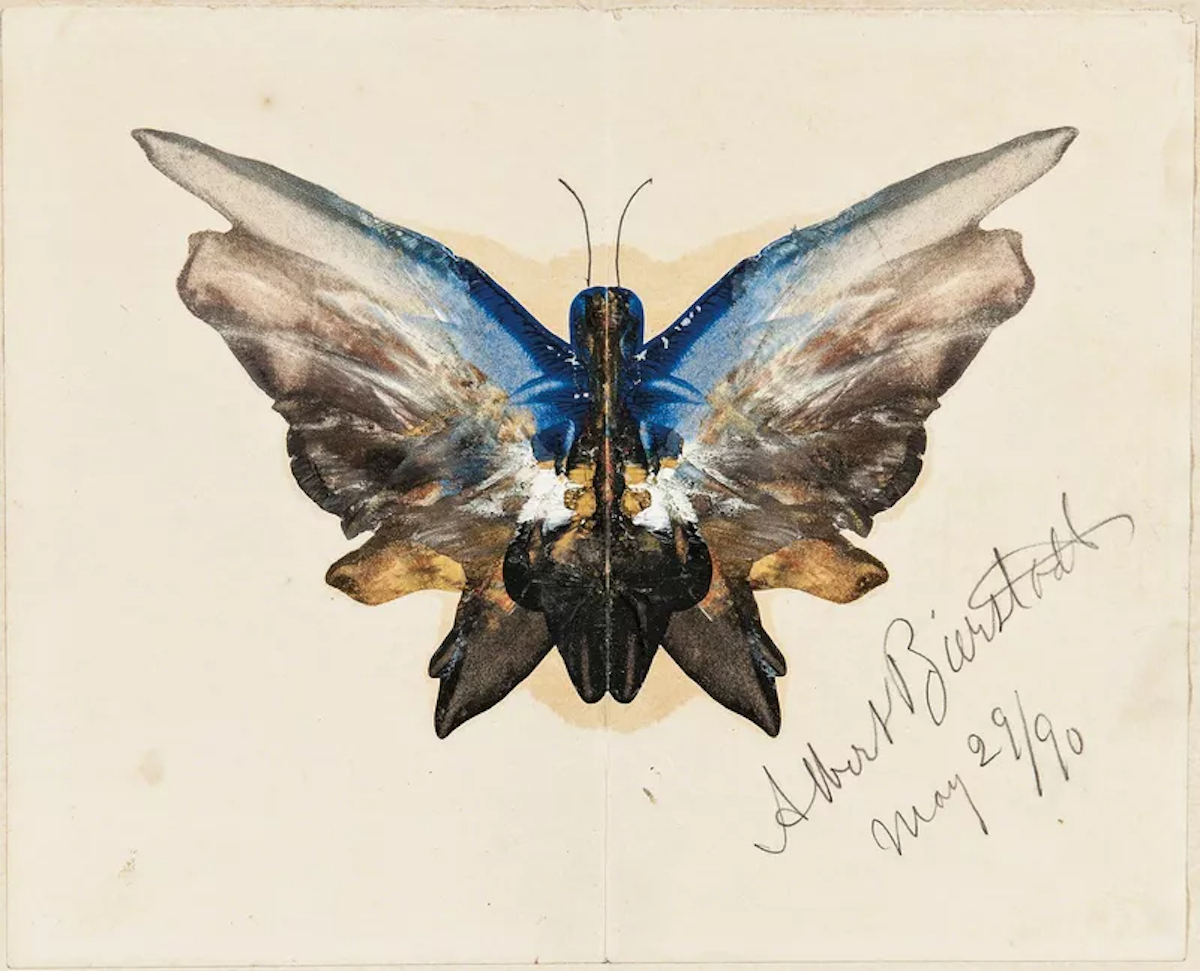 Albert Bierstadt butterflies