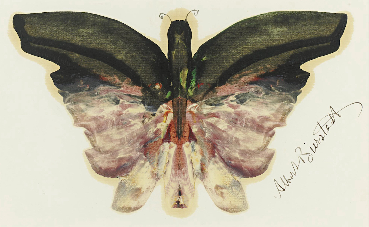 Albert Bierstadt butterflies