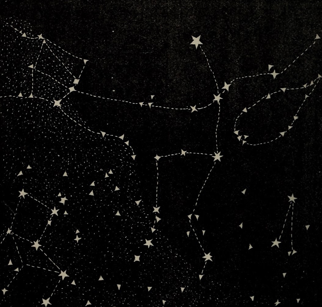 Andromeda Flowers of the Sky by Richard A. Proctor (1879)
