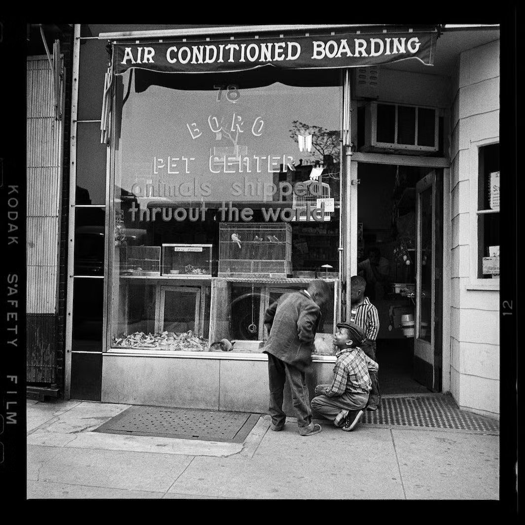 Truman Capote Brooklyn