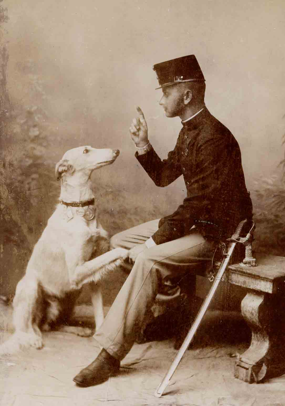 Vintage dog photos