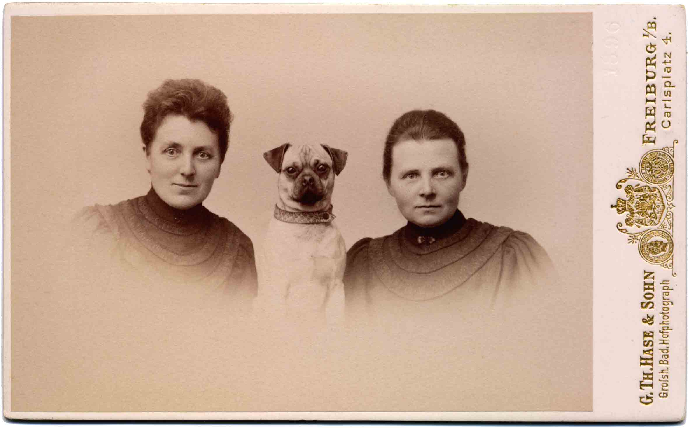 Vintage dog photos