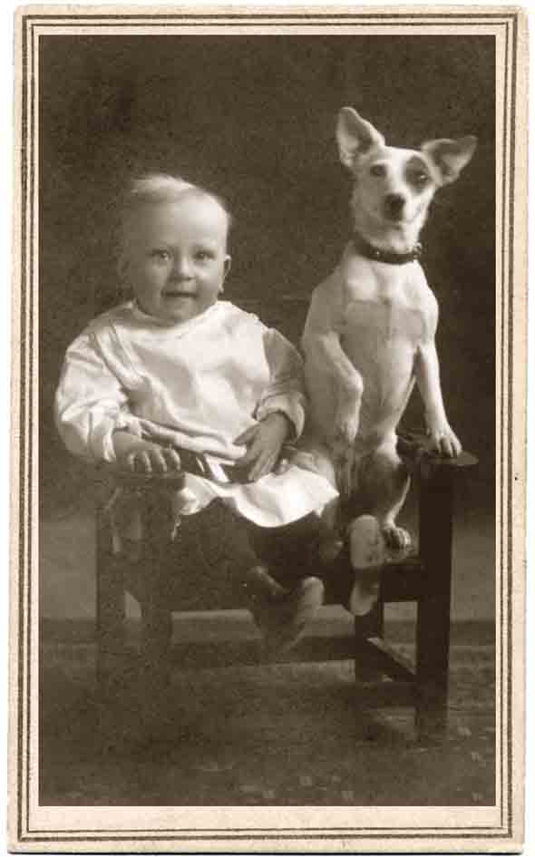 Vintage dog photos