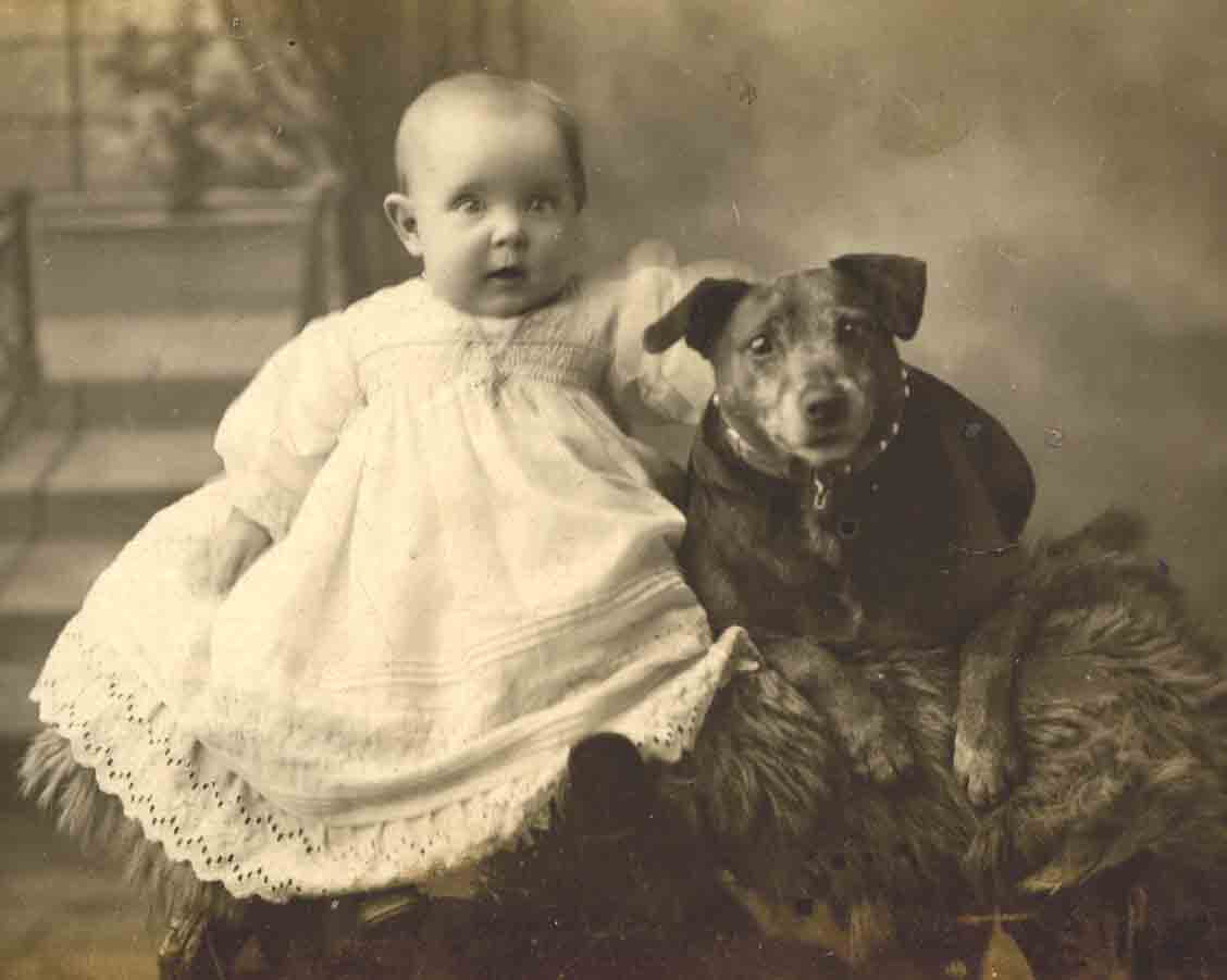 Vintage dog photos