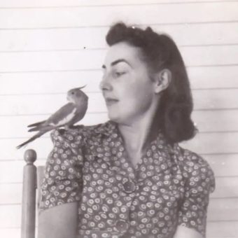 27 Fantastic Vintage Photos of Birds