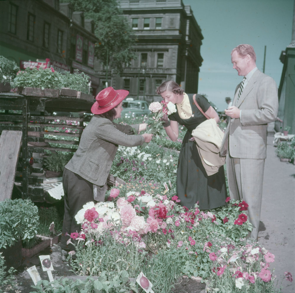 Mid-Century Canada in color