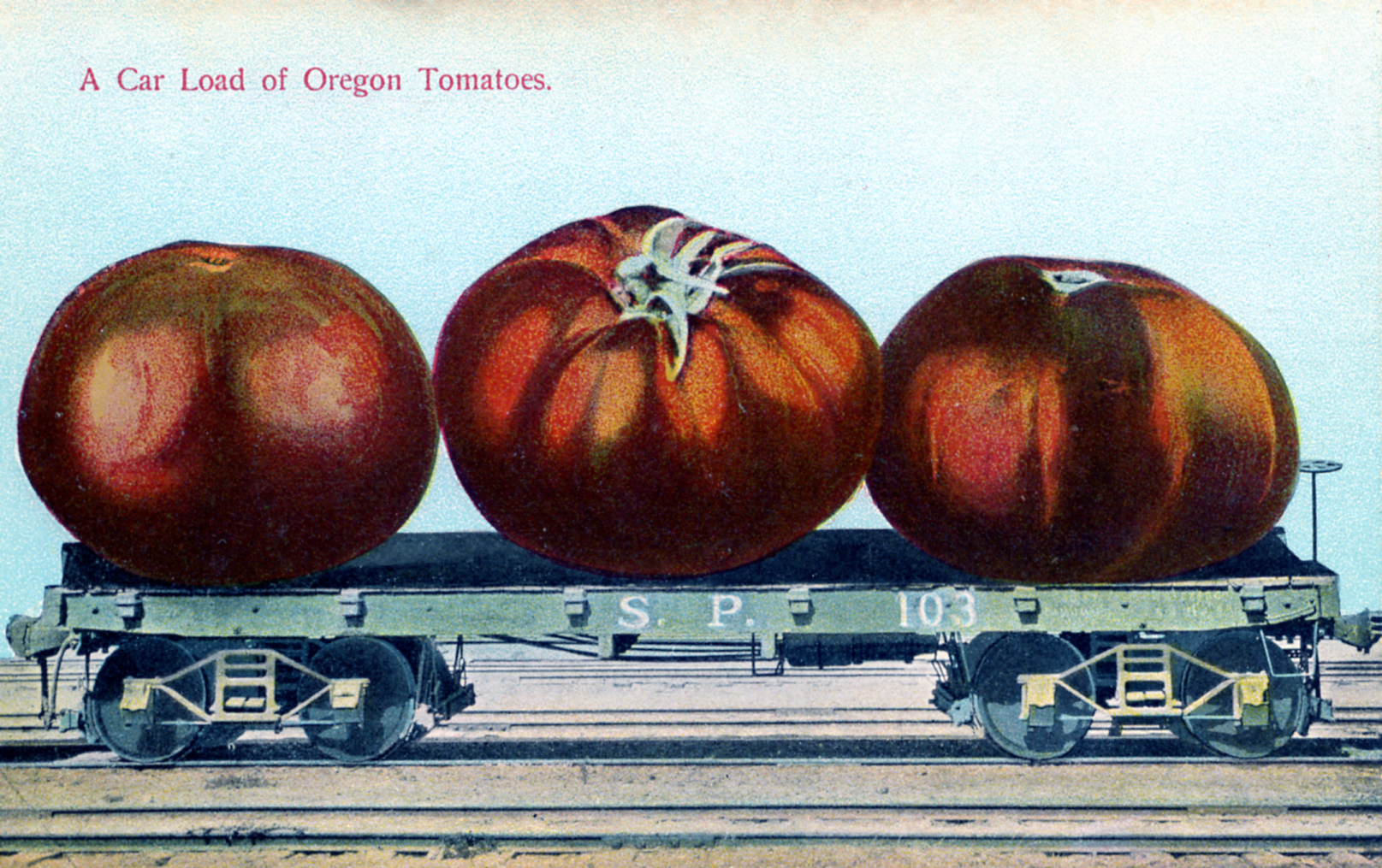 Car Load of Oregon Tomatoes OR Southern Pacific Pacific Novelty Publishers, San Francisco, Cal. Printed in Germany