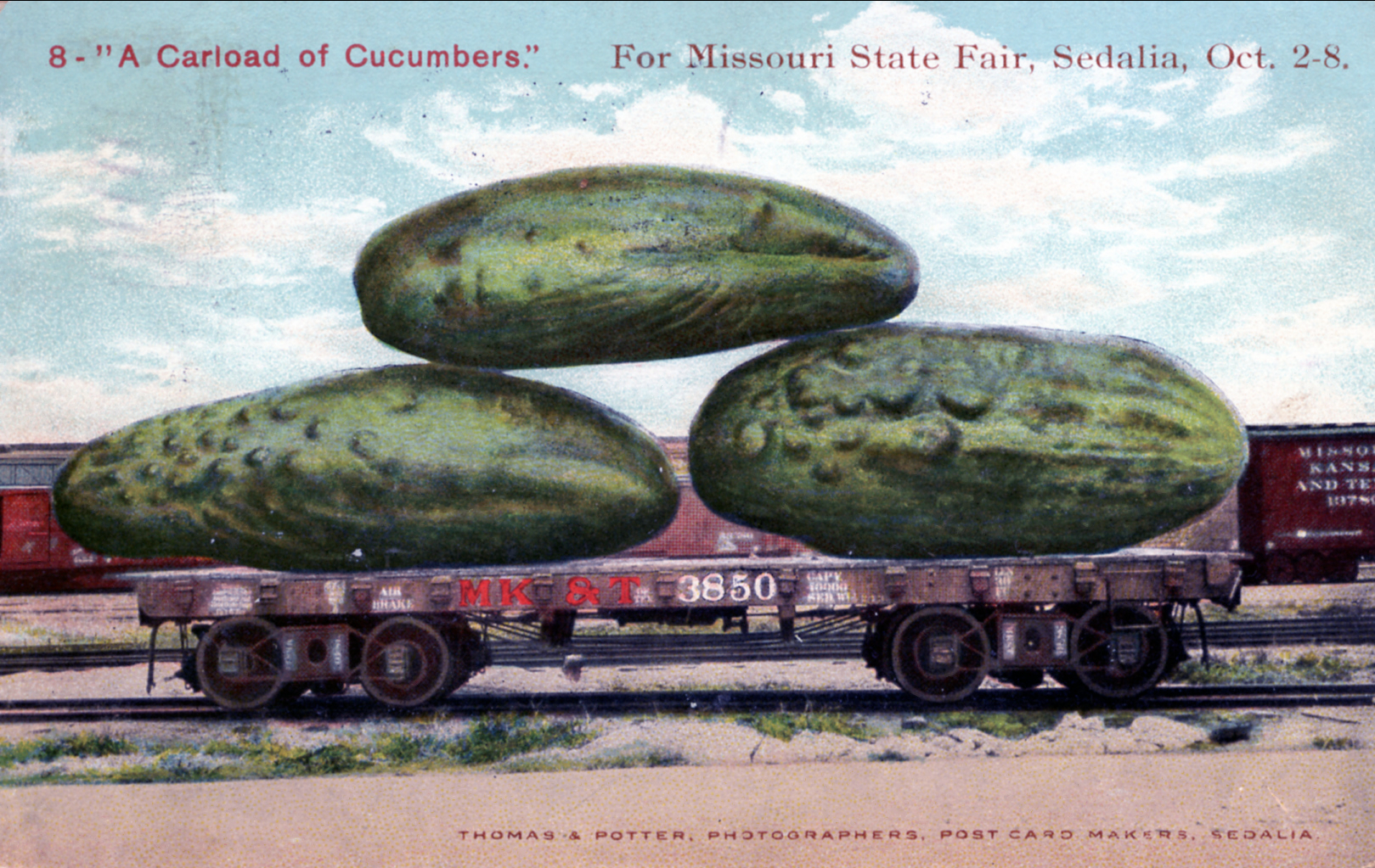 Carload of Cucumbers for Missouri State Fair Sedalia MO Oct. 2-8 Thomas B. Potter postmarked 1909
