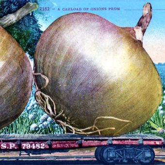 Exaggerated Fruit On Vintage Postcards – c.1910