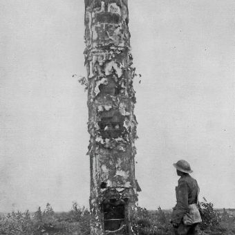 The Camouflage Trees Of World War I