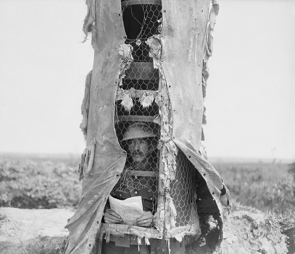 Camouflage Trees Of World War I