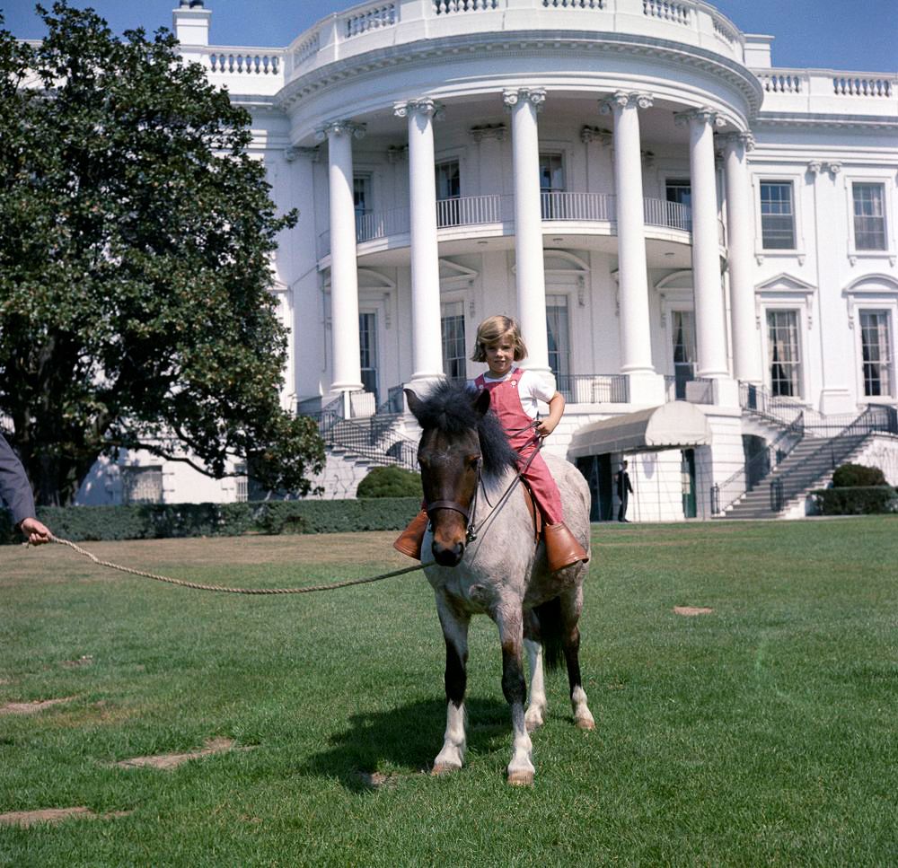 Kennedy pets