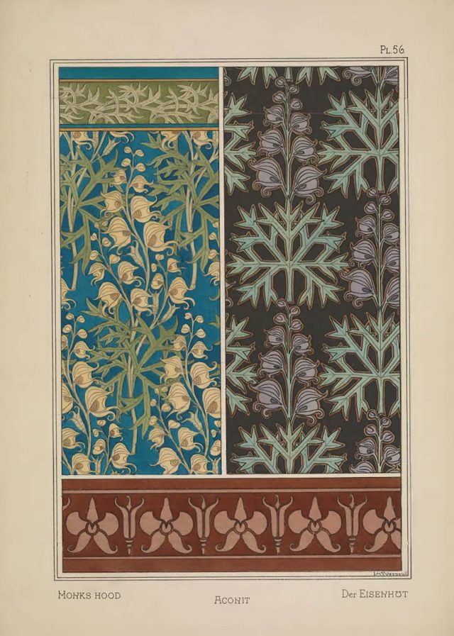 Eugene Grasset Plants and Their Application to Ornament-105 - Flashbak