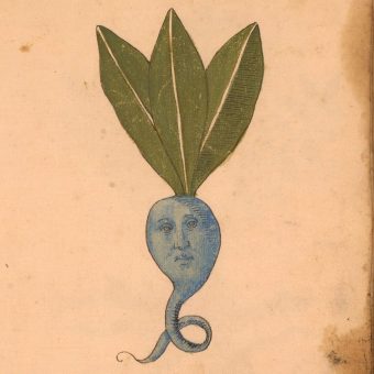 Plants With Faces From A 15th-Century Italian Medicine Book