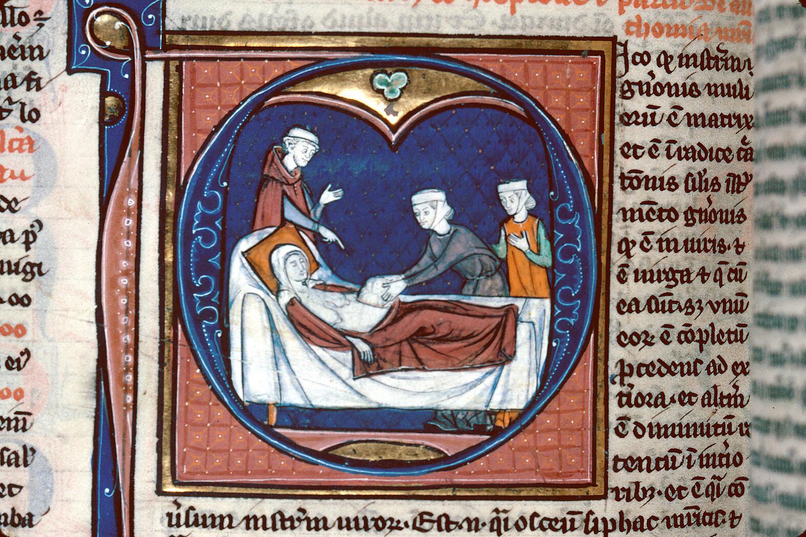 Avicenna, Canon medicinae. Paris 13th century