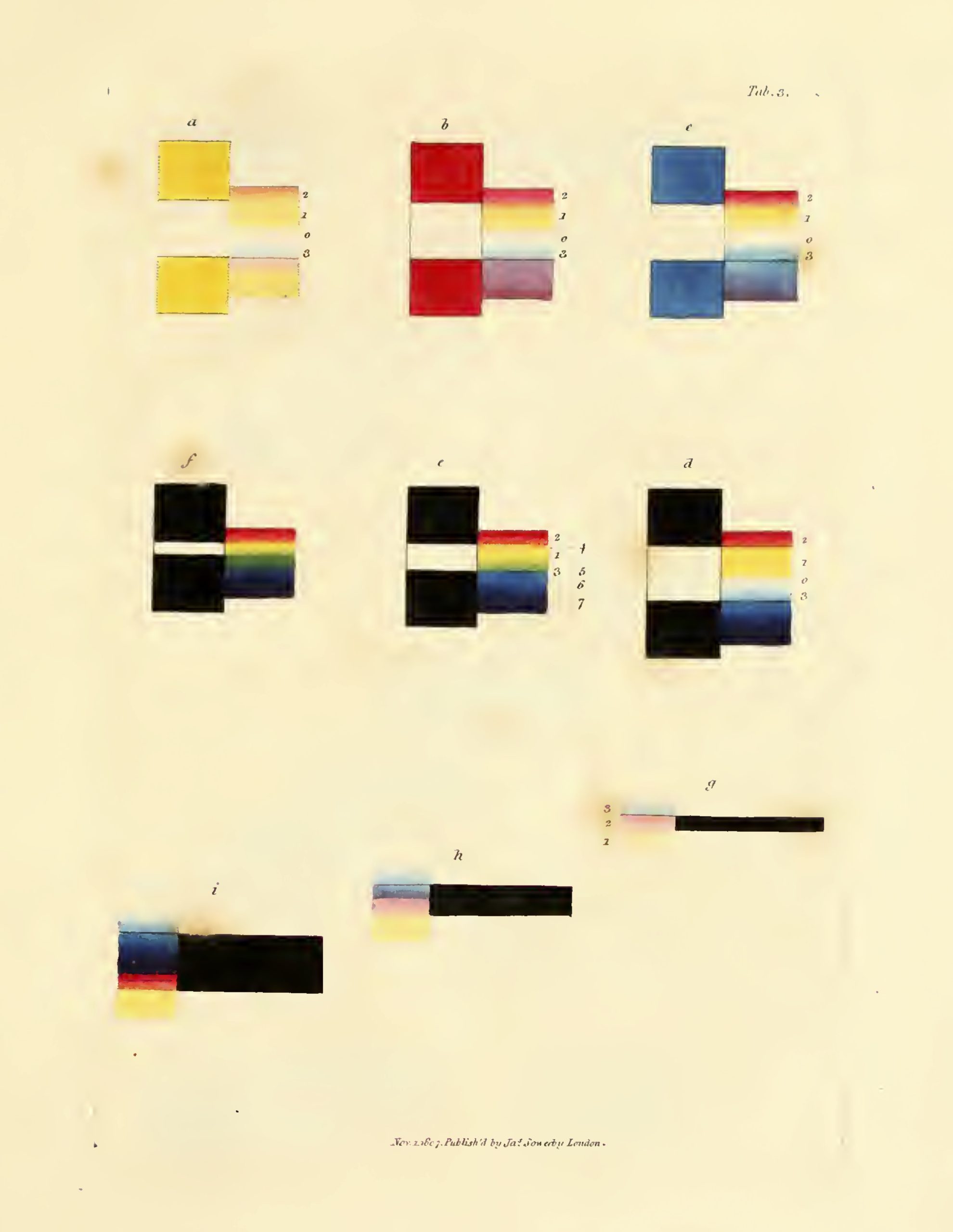 James Sowerby A New Elucidation (1809)