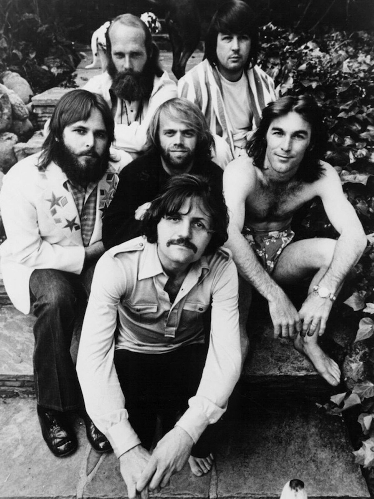 The Beach Boys in 1971; top left to right: Mike Love, Brian Wilson; middle left to right: Carl Wilson, Al Jardine, Dennis Wilson; bottom: Bruce Johnston.