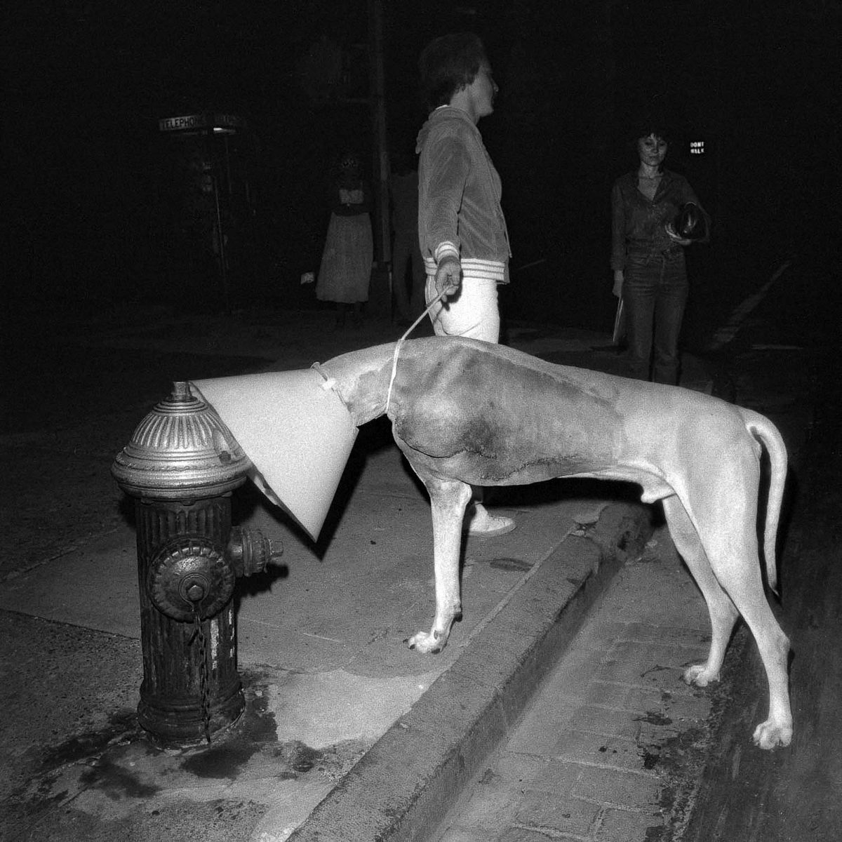 “Coned Canine Sniffs Hydrant Near Judi” (1978). Jupiter, New York, New York