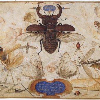 Joris Hoefnagel: The Emperor’s Best Artist Who Drew Insects That Told of Love And Death