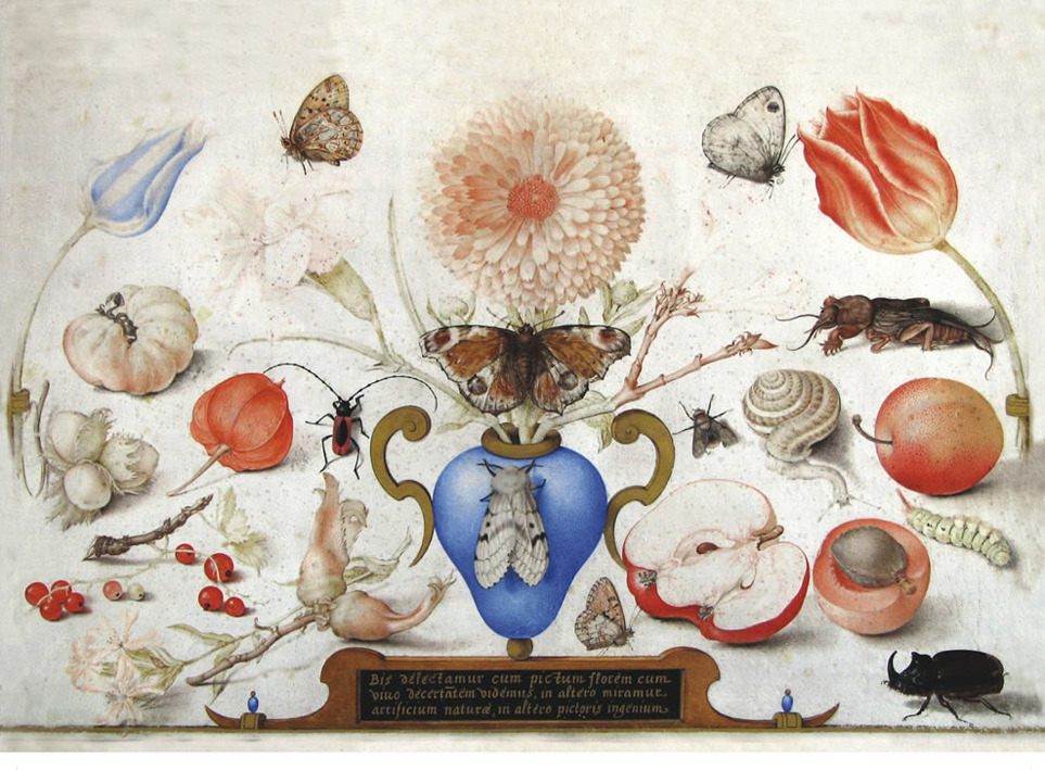 Joris Hoefnagel, Insects, 1597. Watercolor on vellum, Netherlands. Muzeul National Brukenthal