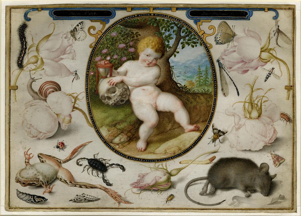 Joris and Jacob Hoefnagel - Allegory on Life and Death.jpgCreated: 1598