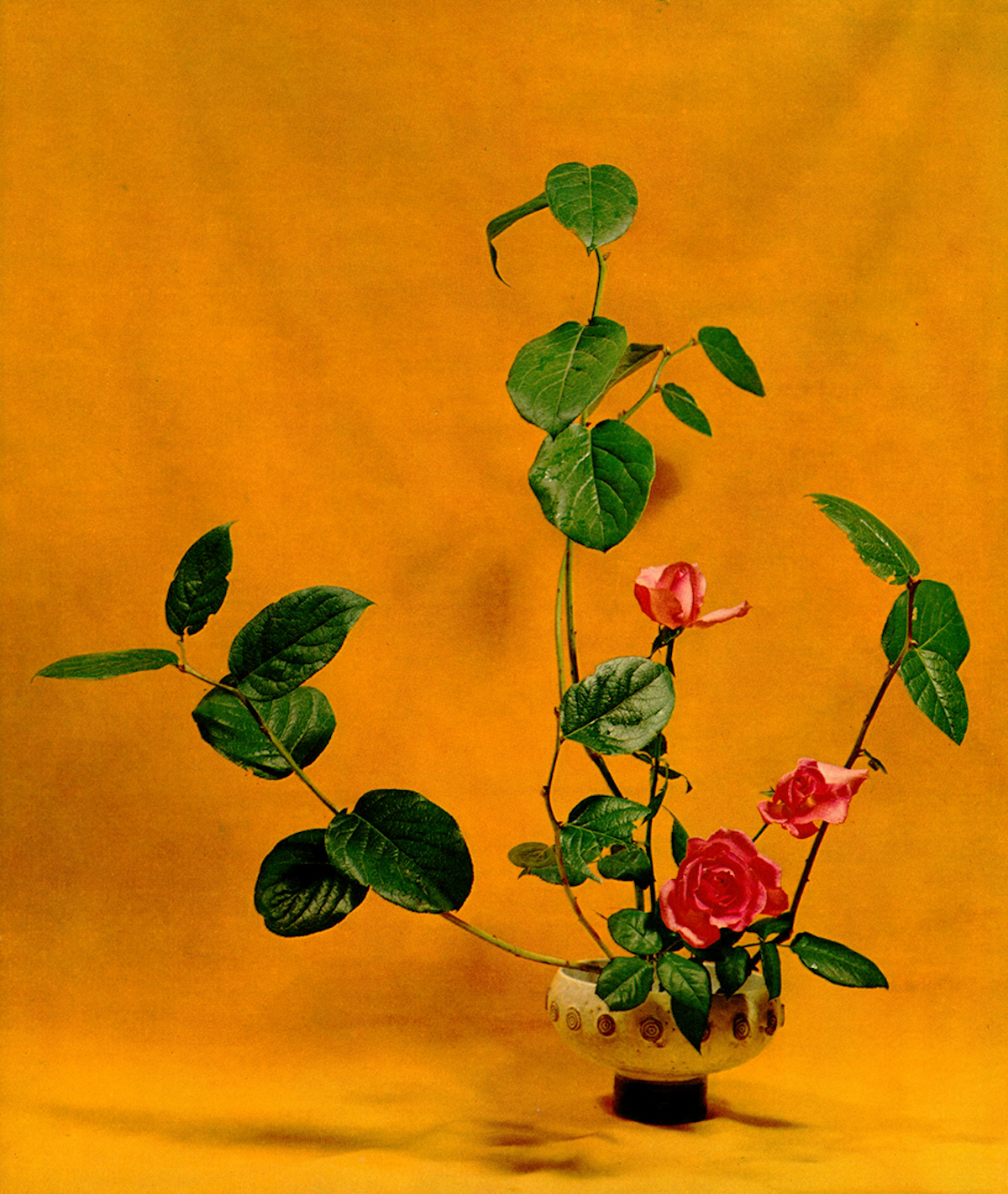 Ikebana