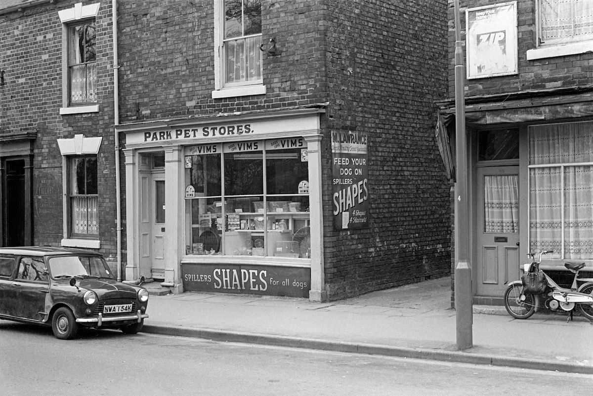 Park Pet Stores, Walton St, Hull, 1979