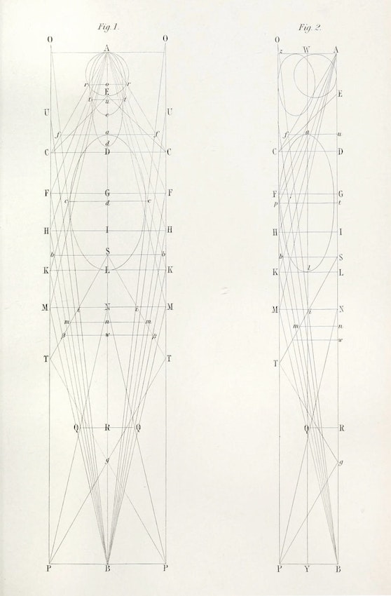 Plate X from Hays’s The Science of Beauty: As Developed in Nature and Applied in Art (1856) — Source.