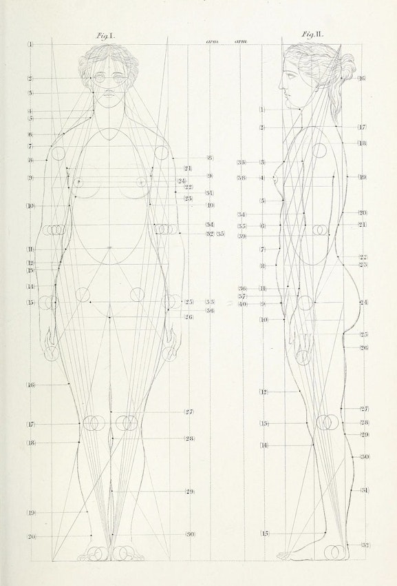 Plate XIX from Hays’s The Science of Beauty: As Developed in Nature and Applied in Art (1856) — Source.