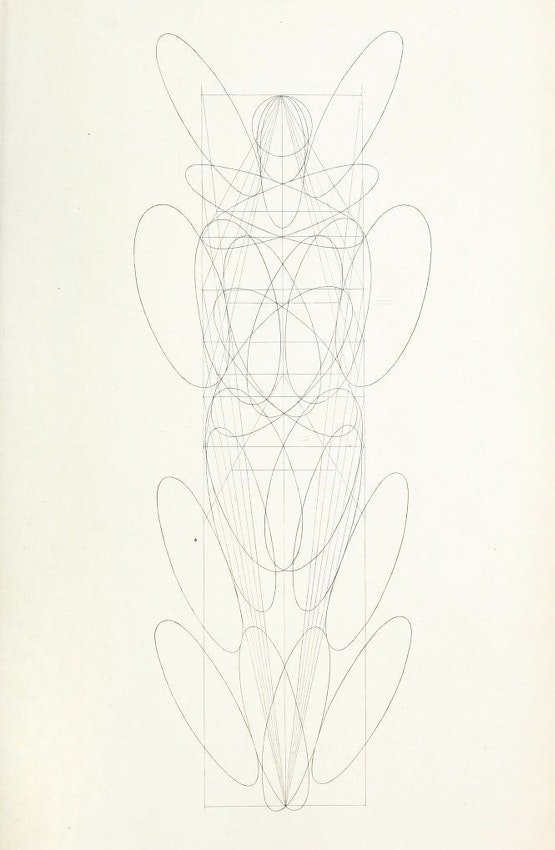 Plate XX from Hays’s The Science of Beauty: As Developed in Nature and Applied in Art (1856) — Source.