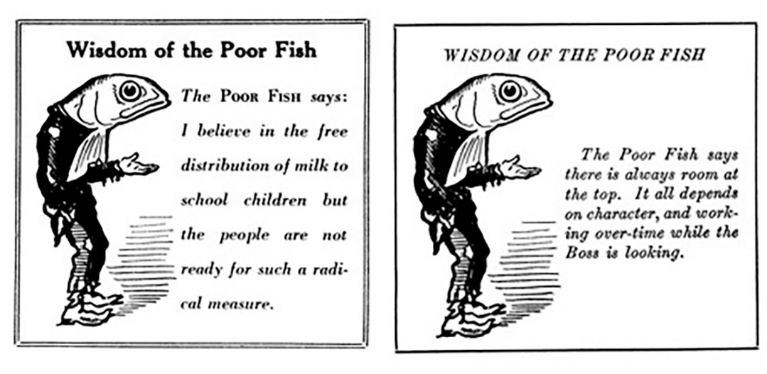 The Poor Fish good morning magazine